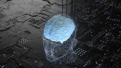 腦機(jī)接口 當(dāng)大腦與網(wǎng)絡(luò)相連，未來離我們還有多遠(yuǎn)？